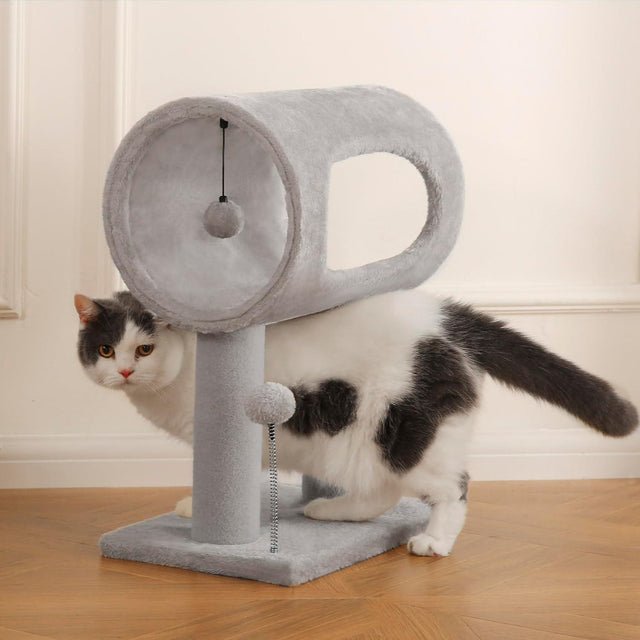 Indoor Cat Tree with Tunnel, Bed & Scratching Post