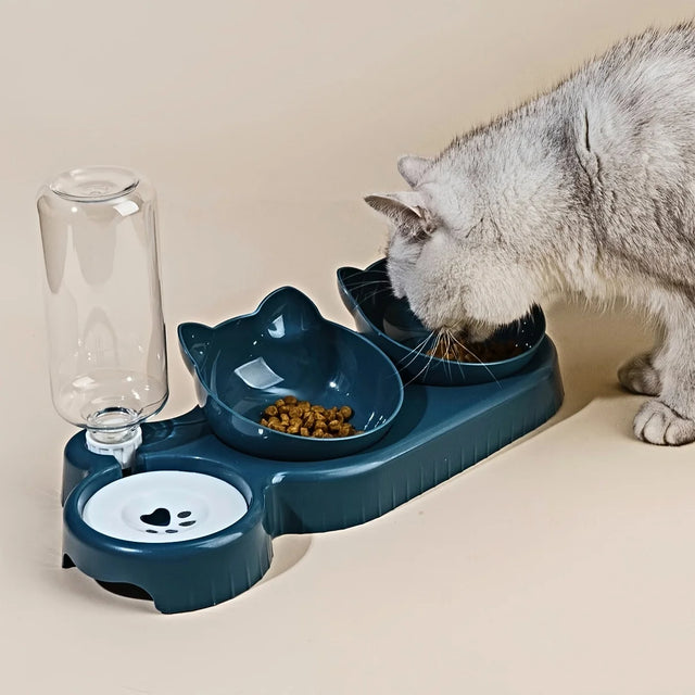3-in-1 Tilted Feeding Bowl Set