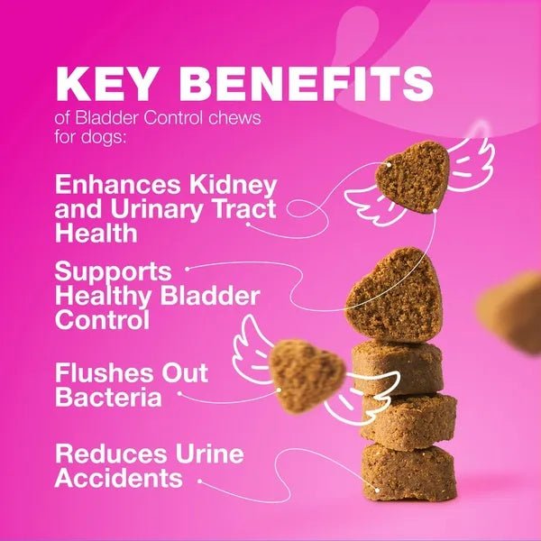 Cranberry Chews for Dogs — Bladder & Urinary Wellness Support